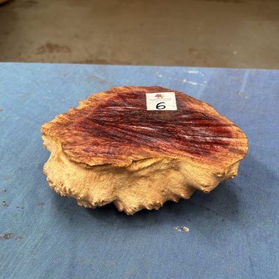 Red Mallee Burl 4.5x7x2.75 Inches