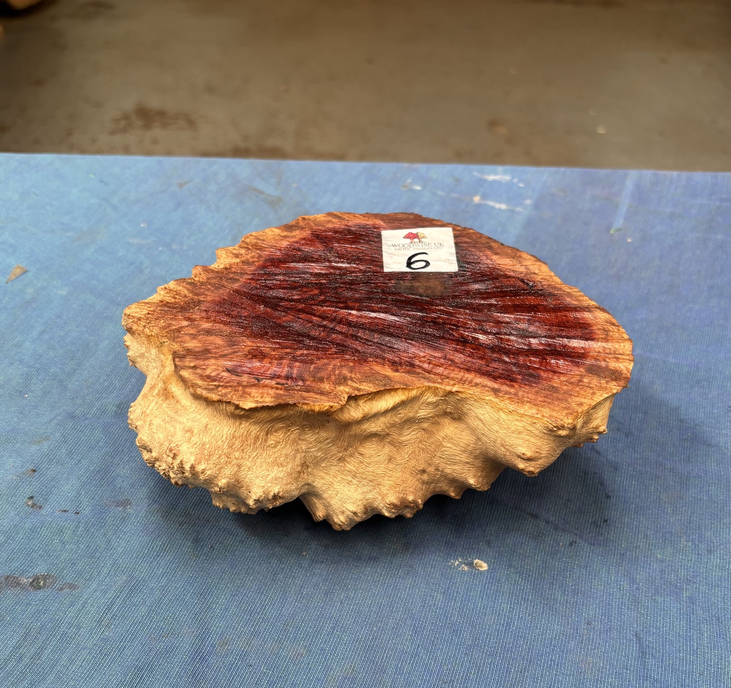 Red Mallee Burl 4.5x7x2.75 Inches