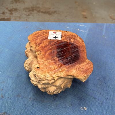 Red Mallee Burl 5.5x5x3 Inches