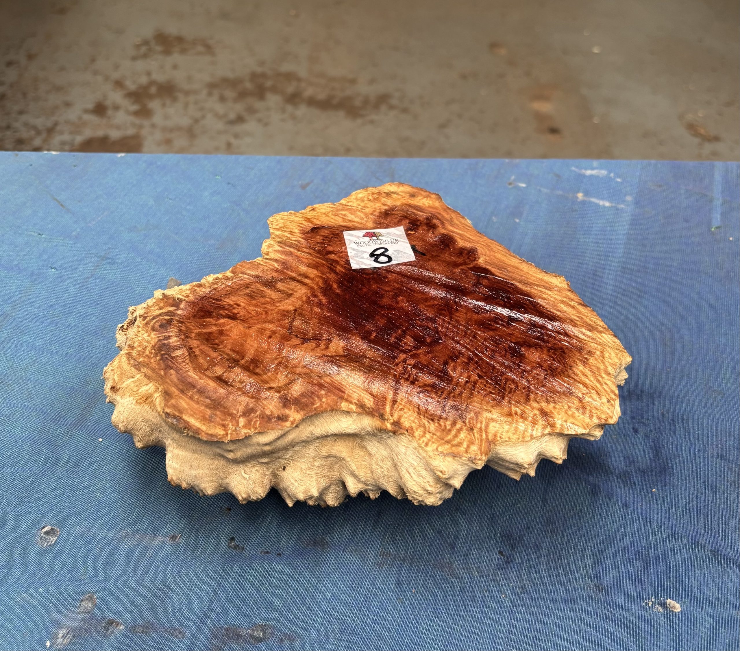 Red Mallee Burl 7x8x2.5 Inches