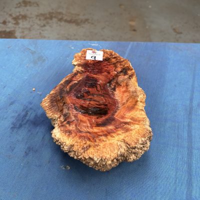 Red Mallee Burl 9x6x2.5 Inches