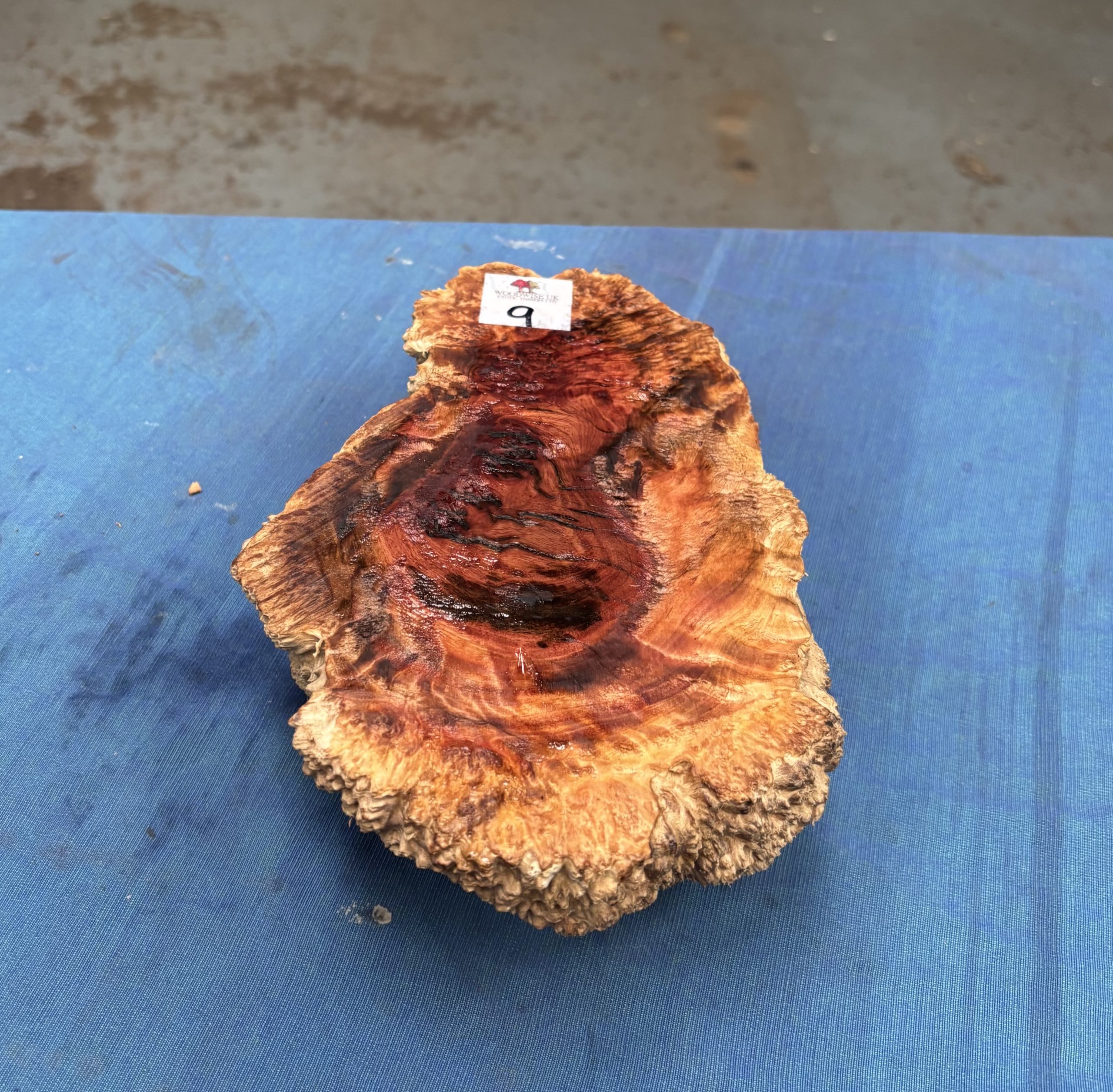 Red Mallee Burl 9x6x2.5 Inches