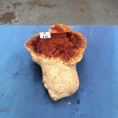 Red Mallee Burl 8x6x3.75 Inches