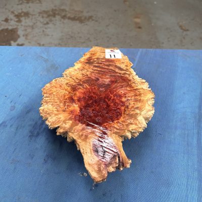 Red Mallee Burl 10x7x3 Inches