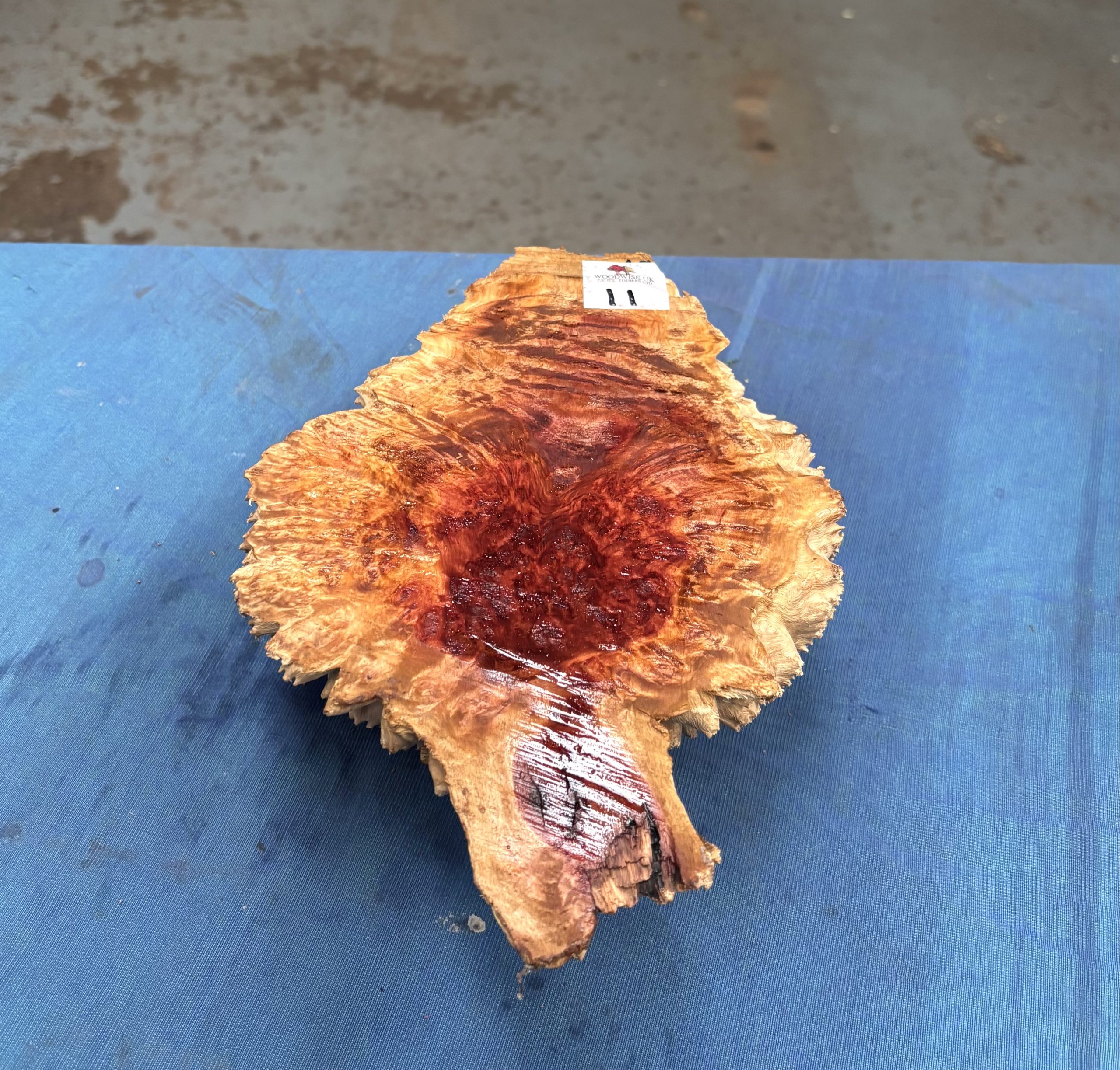 Red Mallee Burl 10x7x3 Inches
