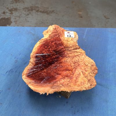 Red Mallee Burl 10x6.5x3 Inches