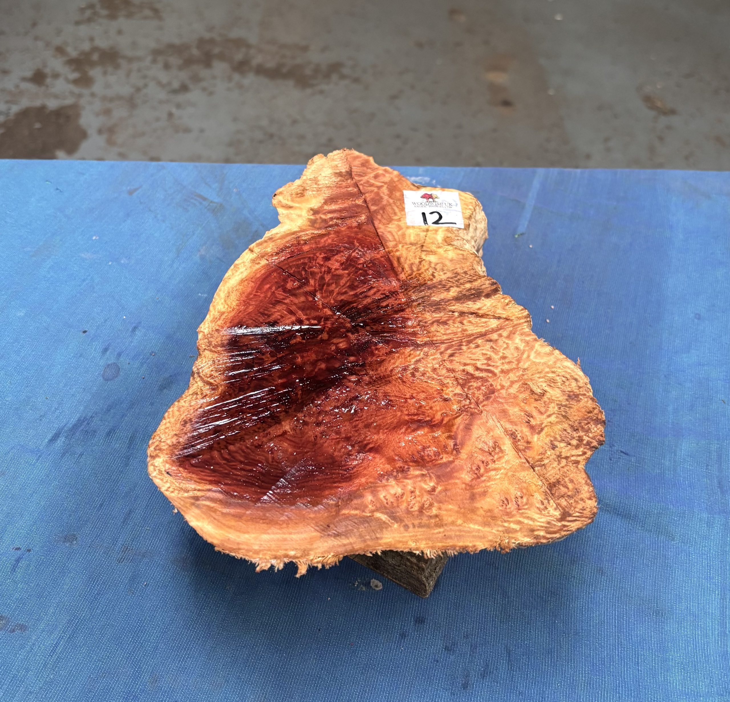 Red Mallee Burl 10x6.5x3 Inches