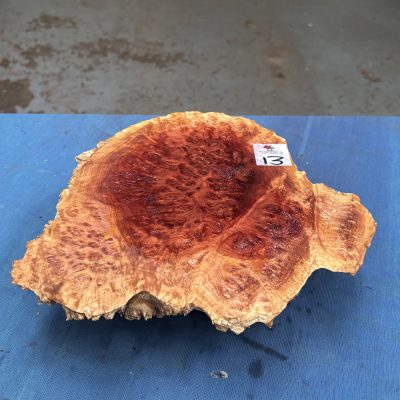 Red Mallee Burl 9x9x2.75 Inches