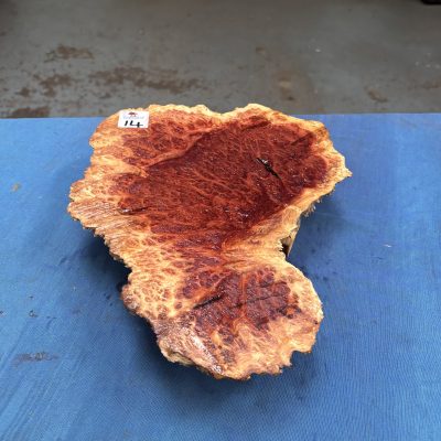 Red Mallee Burl 12x9x2.75 Inches