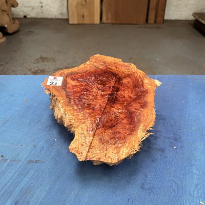 Red Mallee Burl 12x9x3 Inches