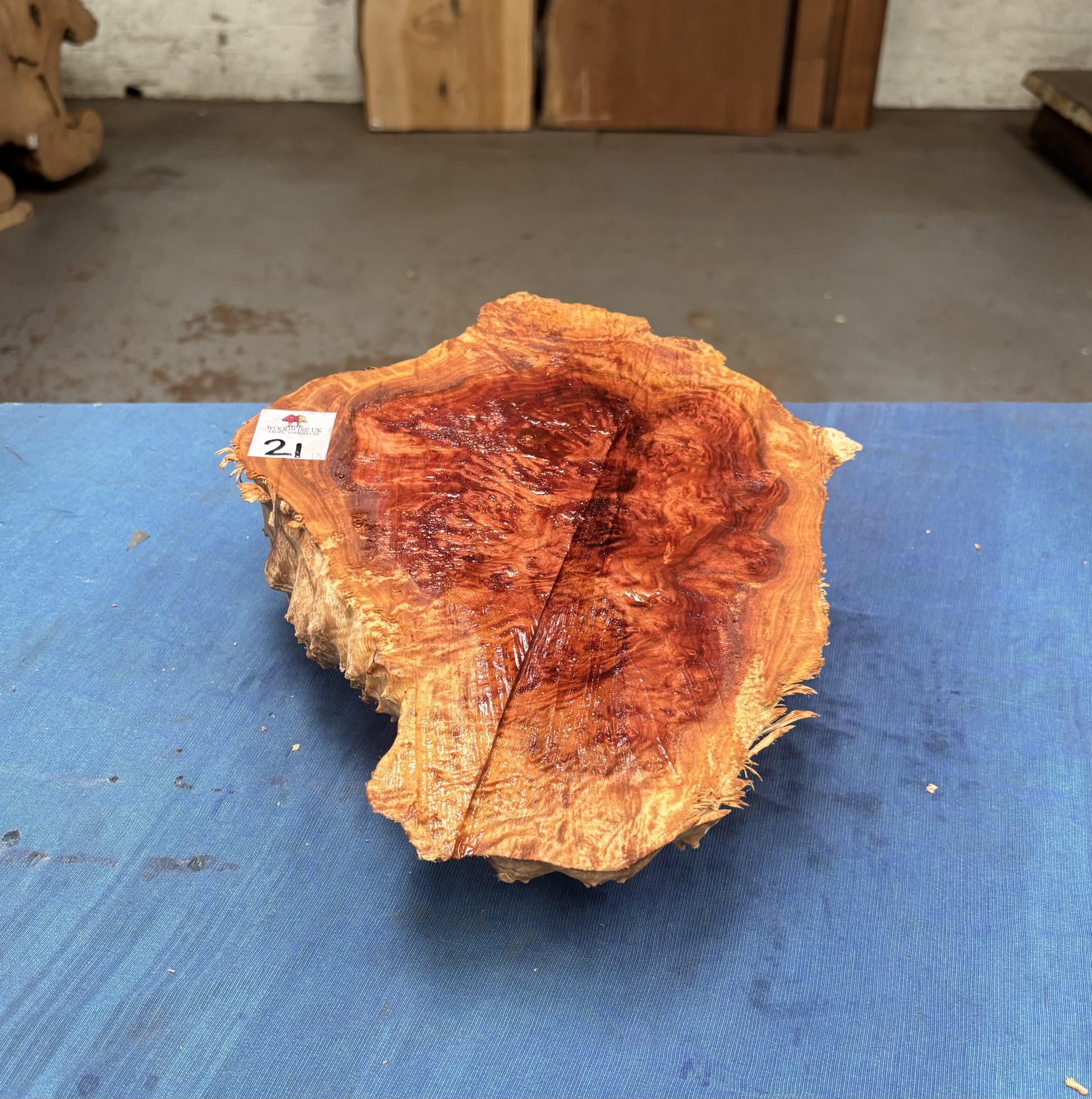 Red Mallee Burl 12x9x3 Inches