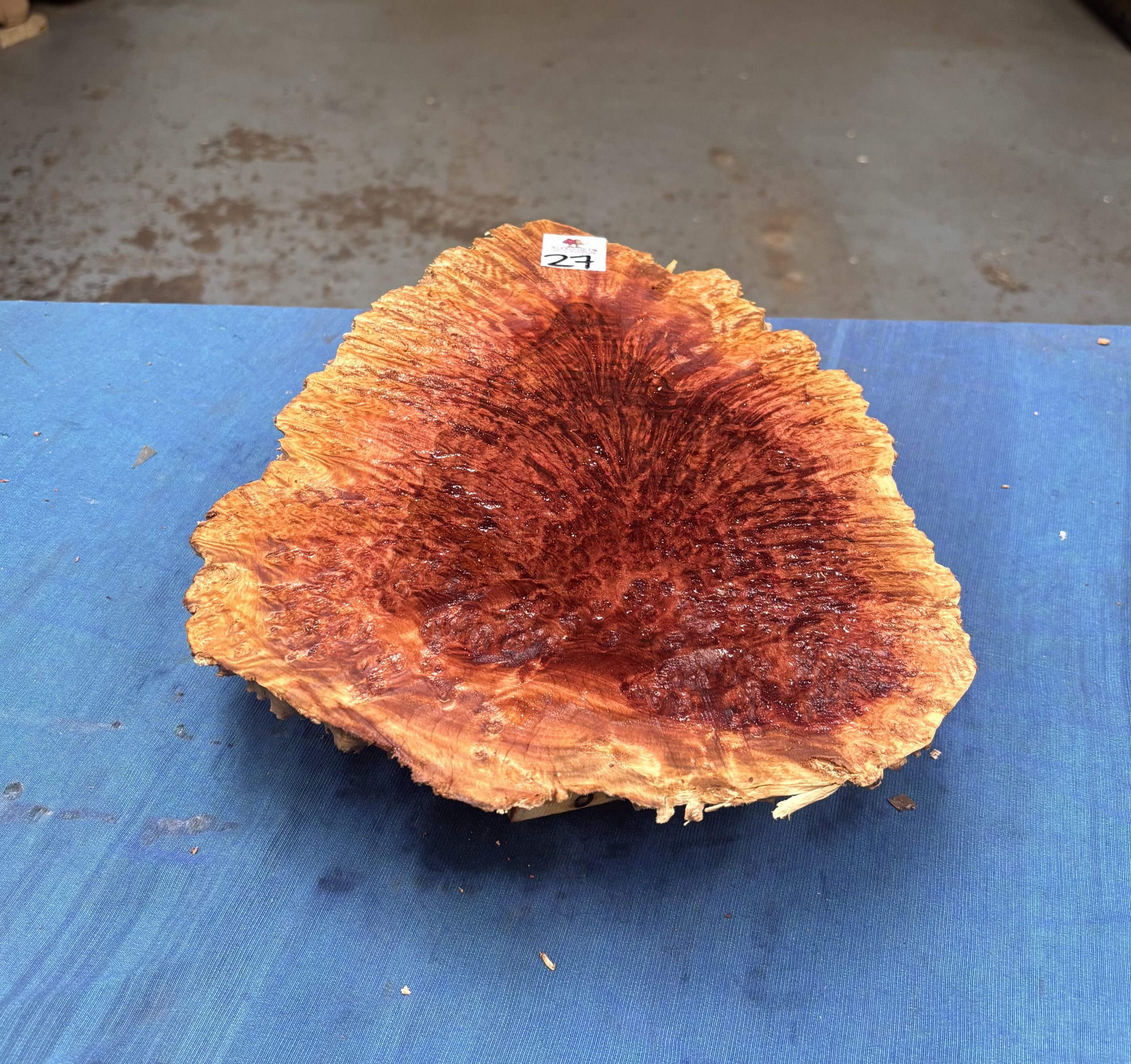 Red Mallee Burl 13x10x3.25 Inches