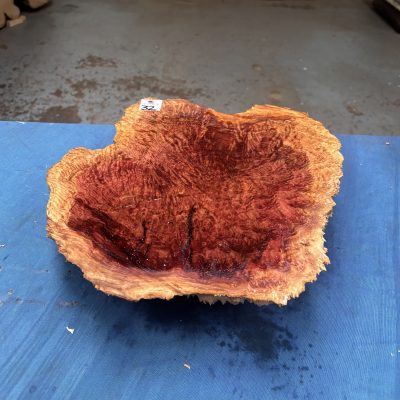 Red Mallee Burl 13x11.5x3.25 Inches
