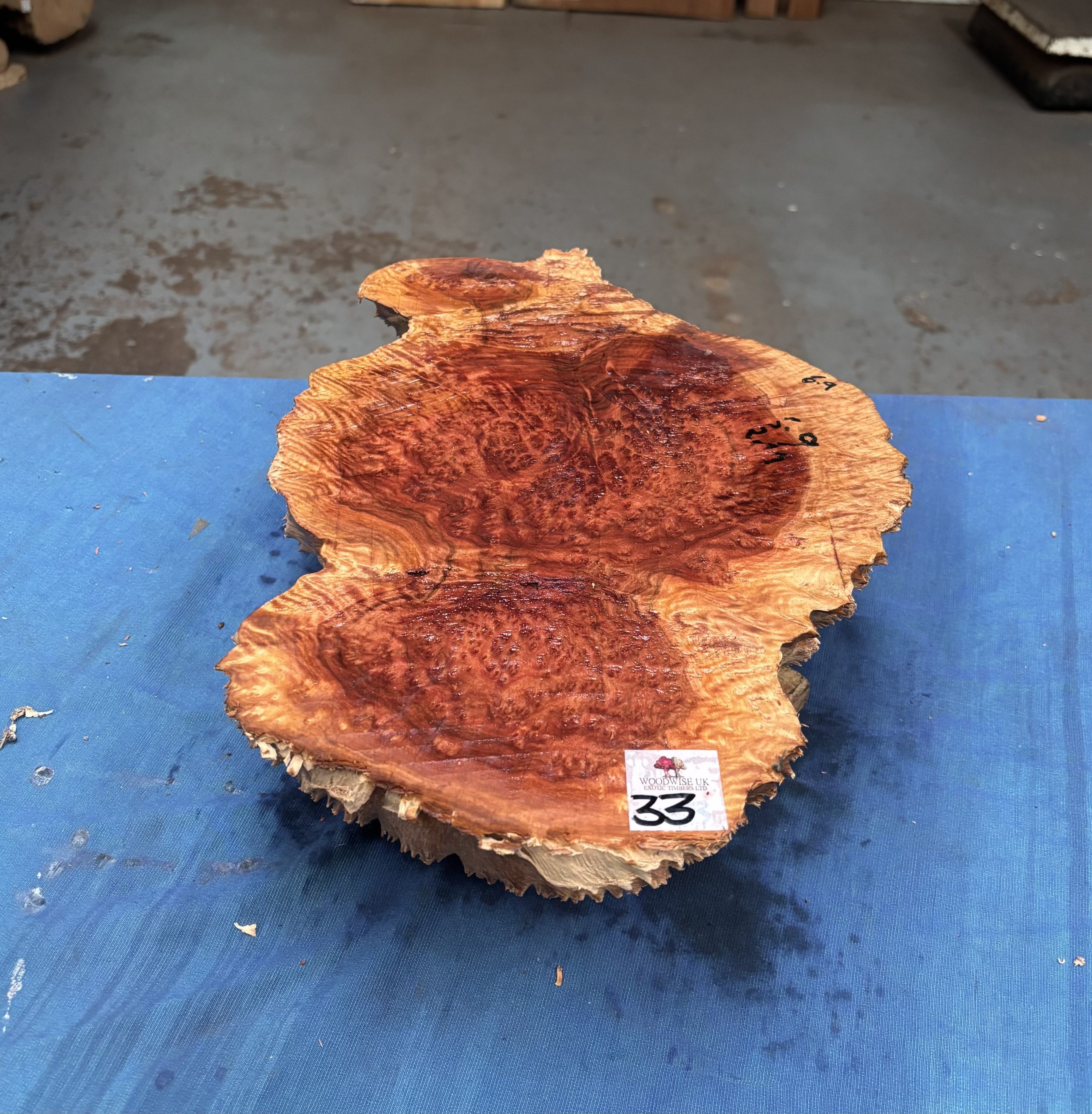 Red Mallee Burl 15x10.5x3.75 Inches