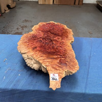 Red Mallee Burl 18.5x11x4 Inches