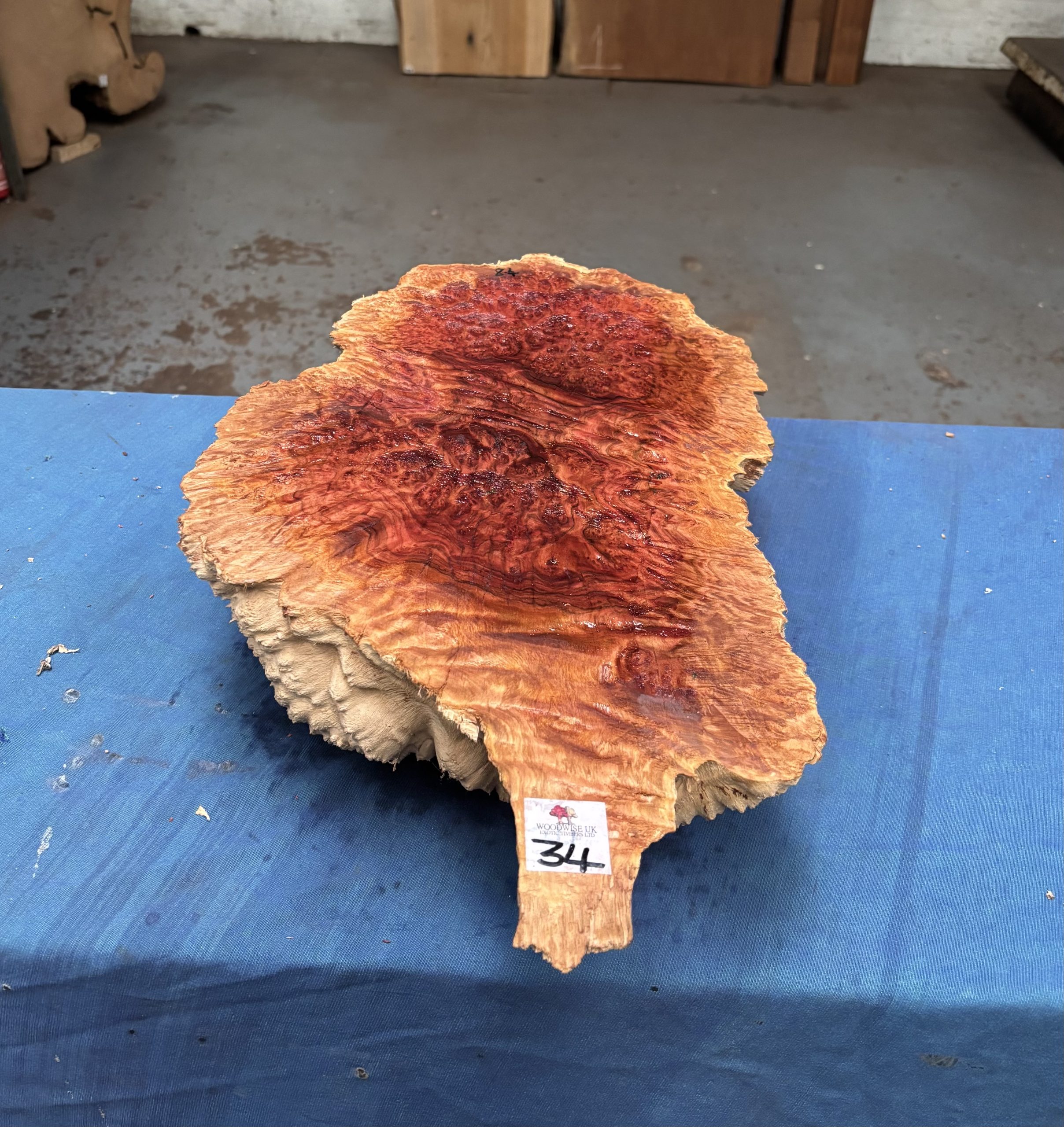 Red Mallee Burl 18.5x11x4 Inches