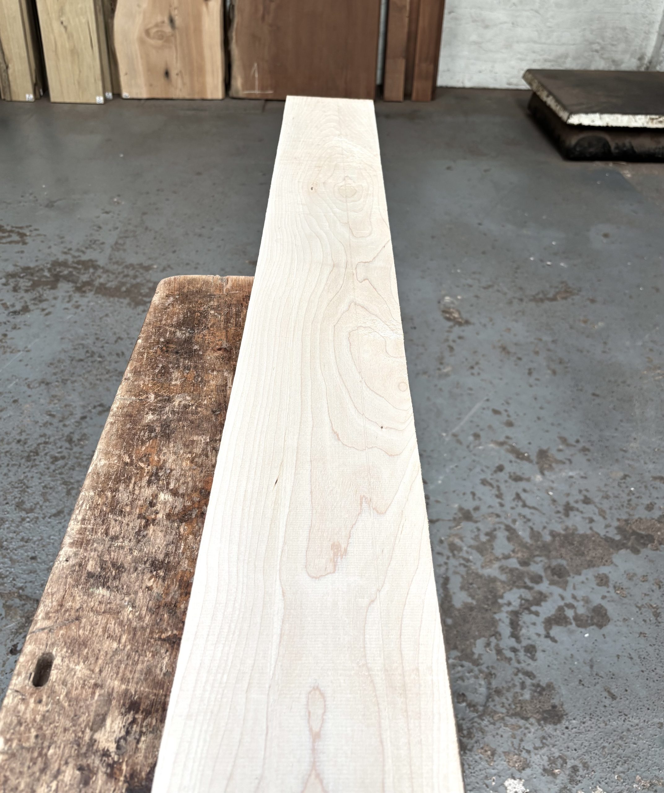 Maple 1220x145x23 mm