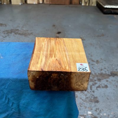 Mediterranean Olivewood 6x6x3 inches