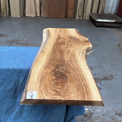 American White Oak 630x250-280x24 mm