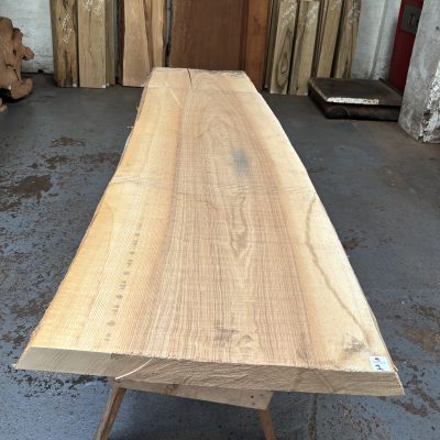 Olive Ash 2000x560-620x53 mm