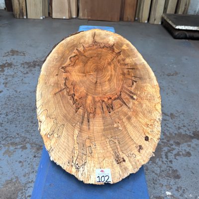 Ambrosia Maple Cookie / Oval 930x330-410x22 mm