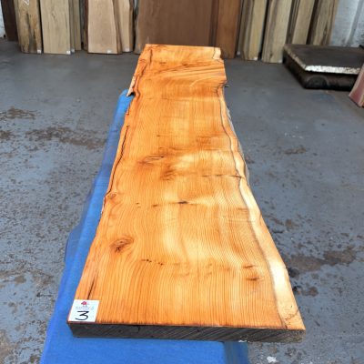 Yew 1230x260-290x25 mm