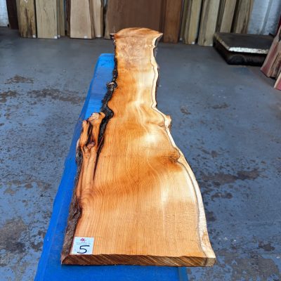 Yew 1450x160-230x24 mm