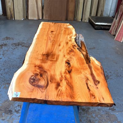 Yew 1190x420-520x29 mm