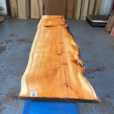Yew 1450x320-370x23 mm
