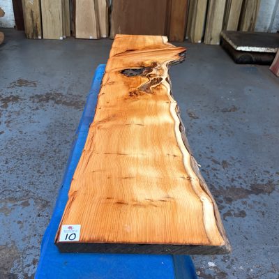 Yew 1230x240-280x24 mm