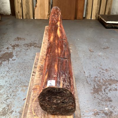 Snakewood Log 1285x165 mm