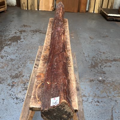 Snakewood Log 1525x110 mm