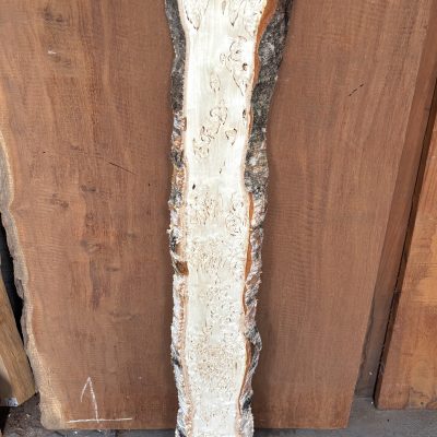 Masur Birch 1025x150-170x36 mm