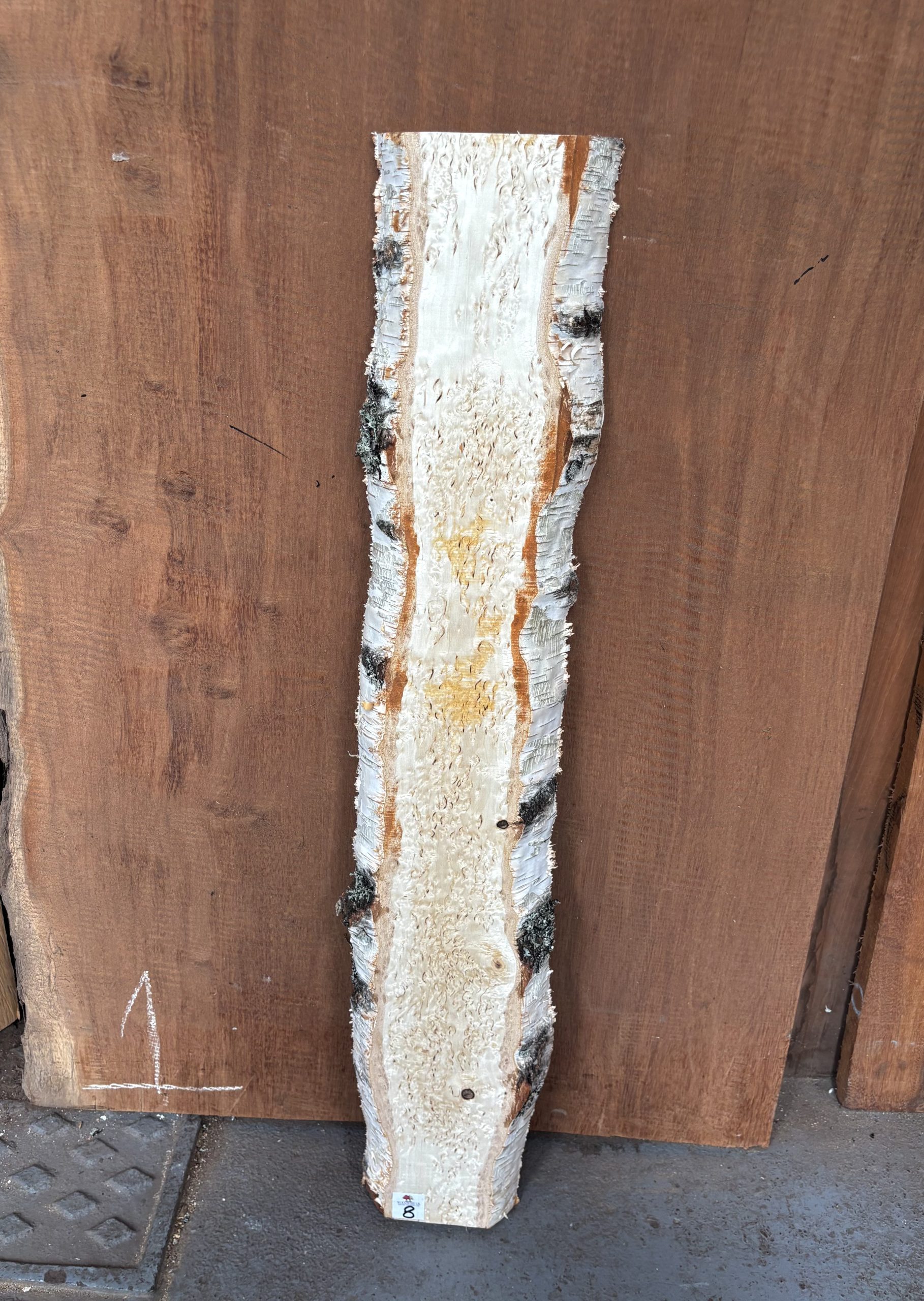 Masur Birch 935x160x37 mm