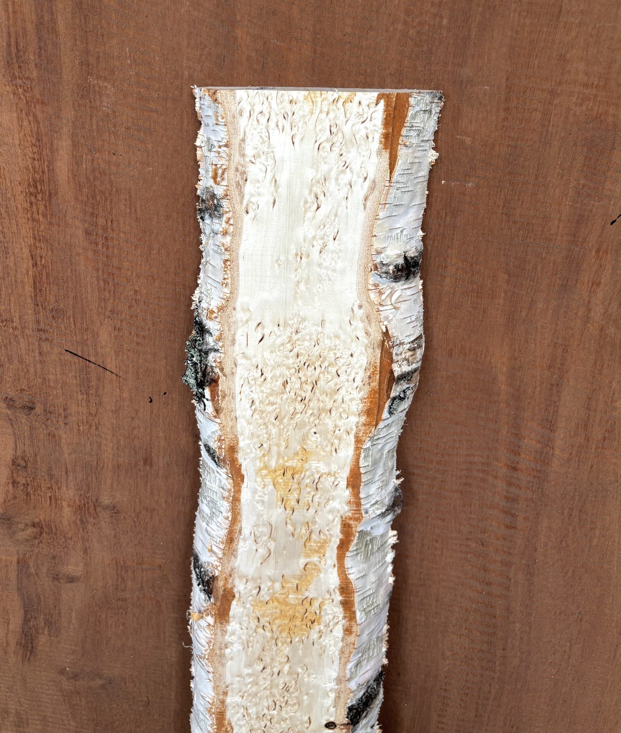 Masur Birch 935x160x37 mm