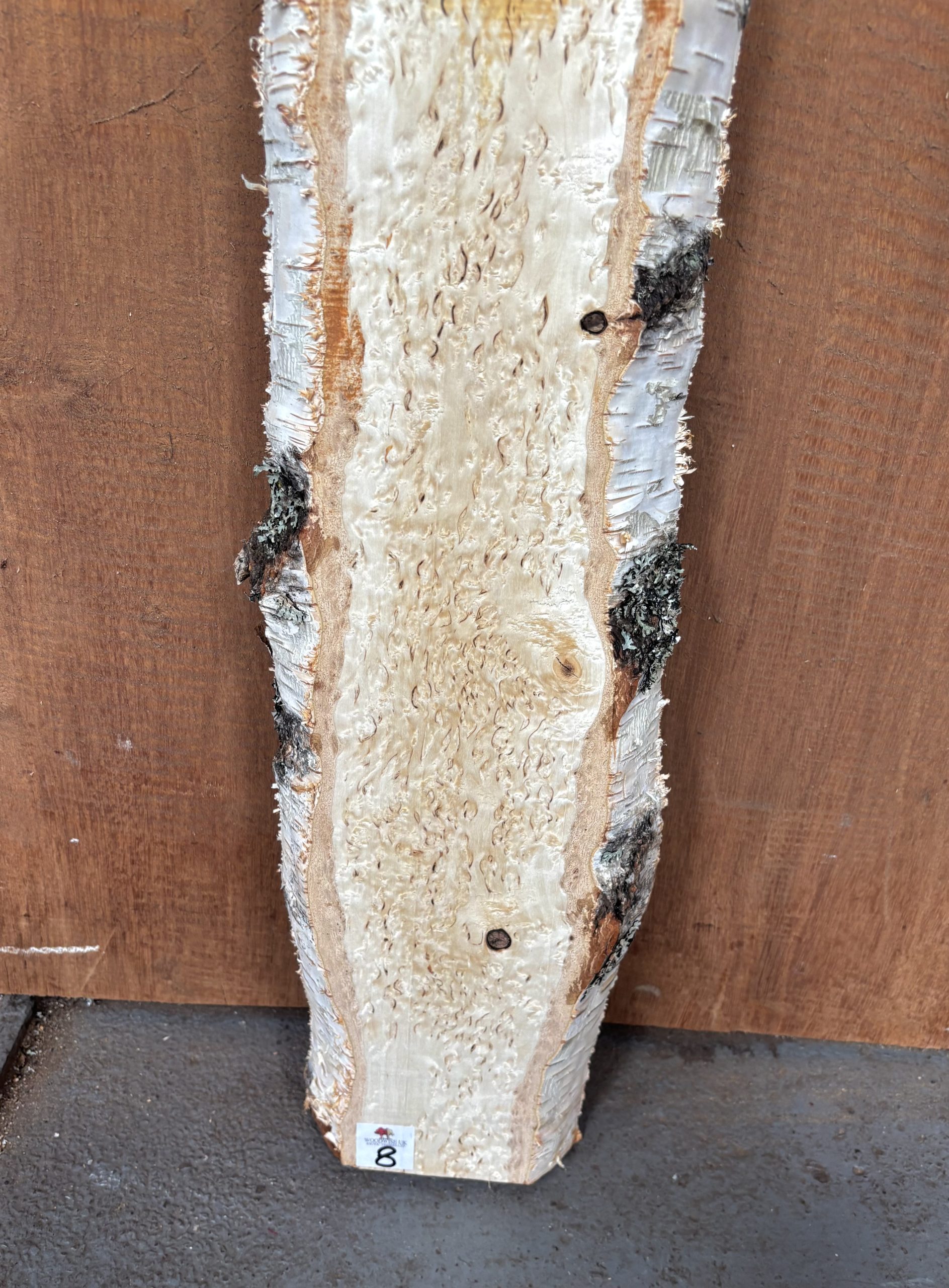 Masur Birch 935x160x37 mm