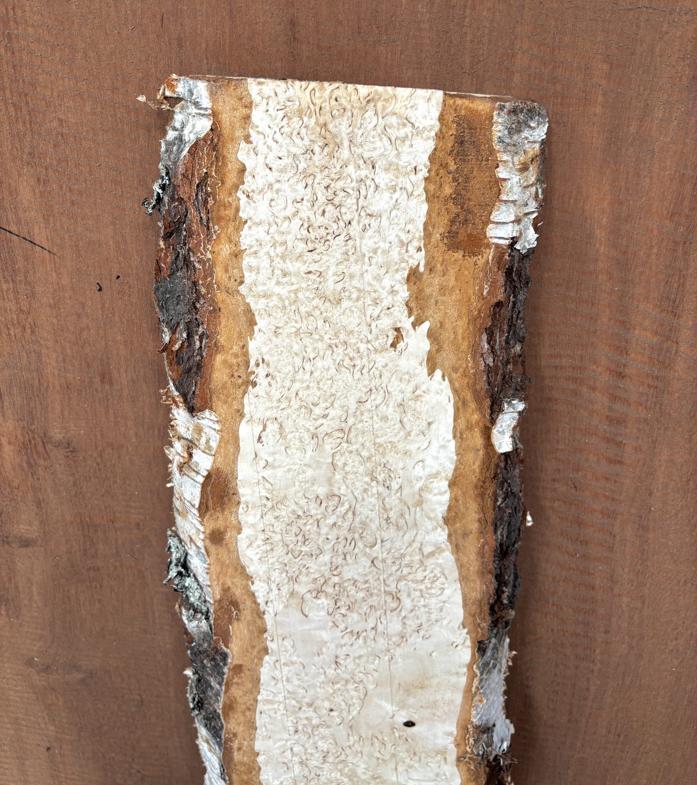 Masur Birch 800x200x38 mm