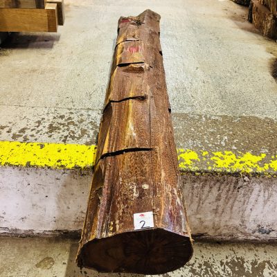 Snakewood Log 1335x175 mm