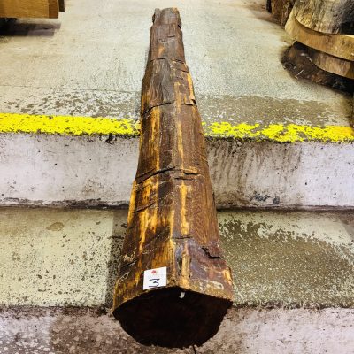 Snakewood Log 1475x145 mm
