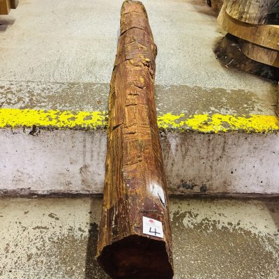 Snakewood Log 1275x115 mm