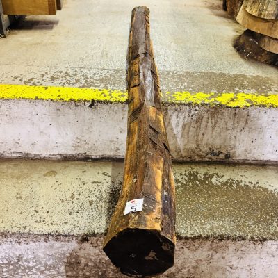 Snakewood Log 1520x110 mm