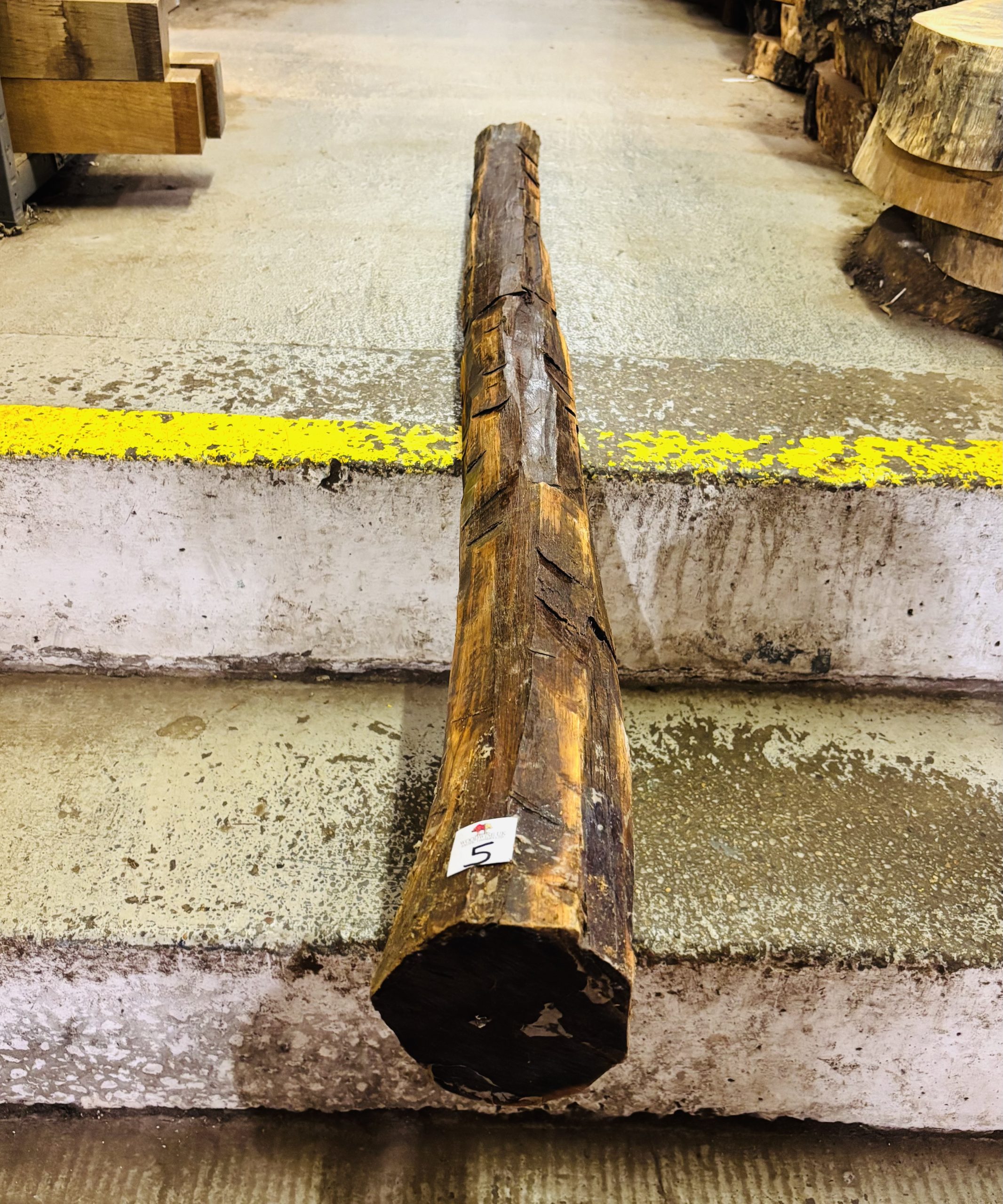 Snakewood Log 1520x110 mm