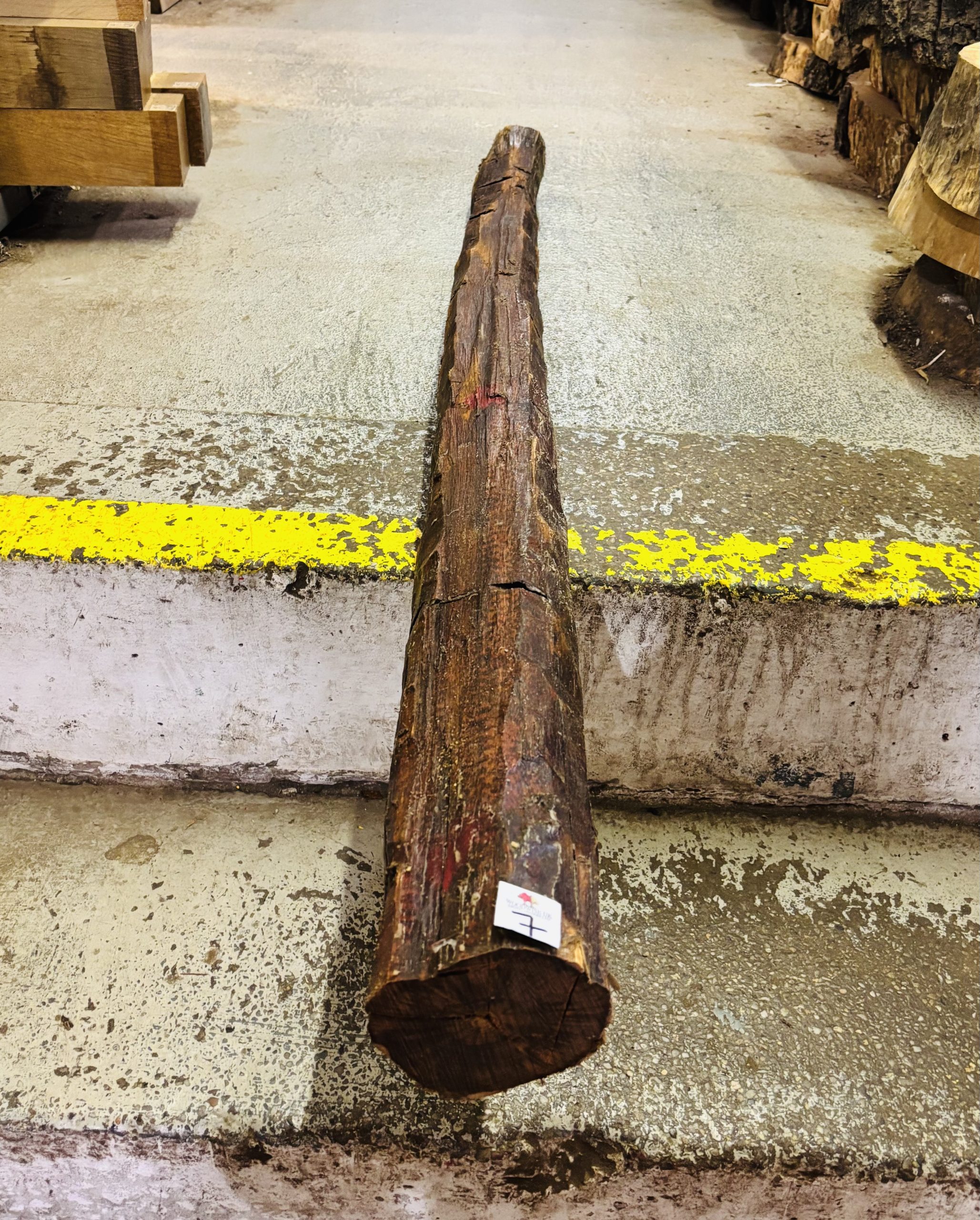 Snakewood Log 1435x110 mm