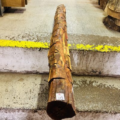 Snakewood Log 1360x110 mm
