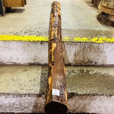 Snakewood Log 1520x100 mm
