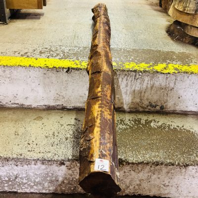 Snakewood Log 1525x95 mm
