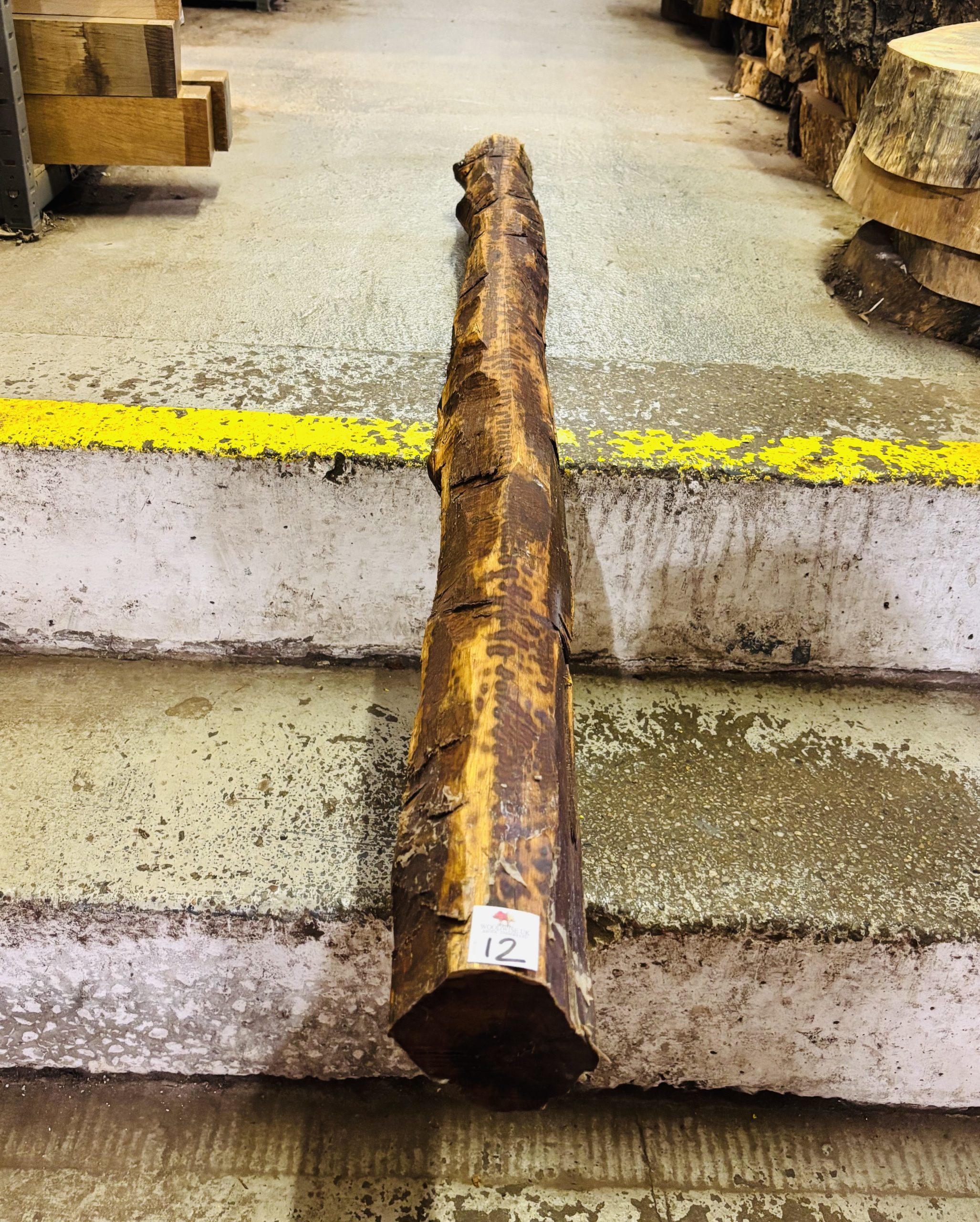 Snakewood Log 1525x95 mm