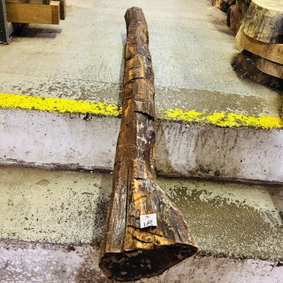 Snakewood Log 1520x110 mm