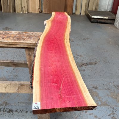 Pink Ivory 1390x200-270x23 mm