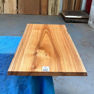 Red Elm 535x330x23 mm